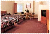 DYNASTY INN