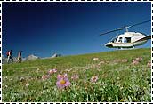 Heli-Hiking in the Canadian Rockies