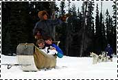 Canmore, Alberta, Canada - Dog Sledding