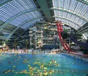 West Edmonton Mall - Dolphin Show 